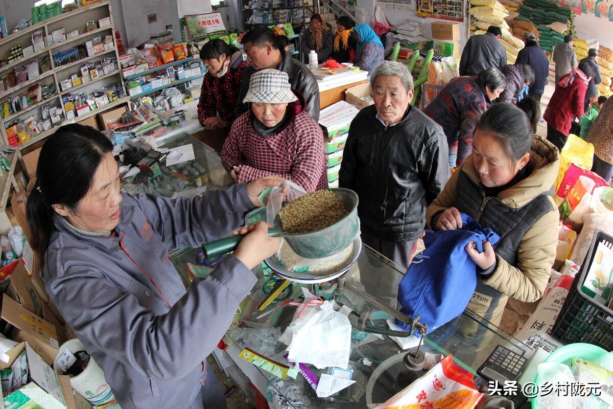 粮食价格平稳，农资价格大涨，蔬菜坐地起价，取暖得看煤“眼色”