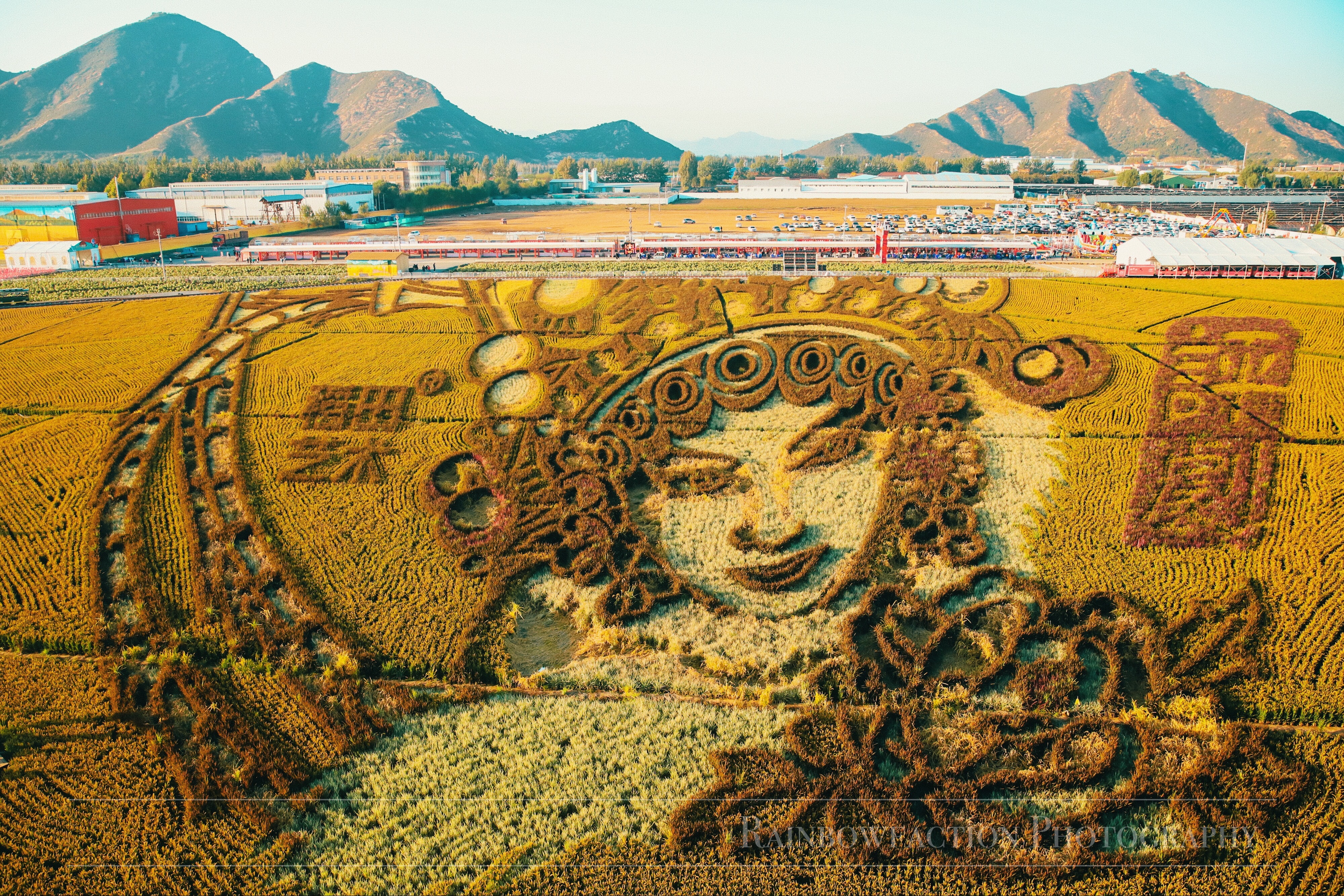 北京出发2小时，超美稻田免费玩～再不去后悔一年