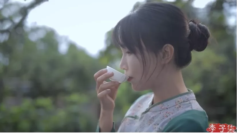 李子柒归来：消失76天的网红风波与馕的文化密码