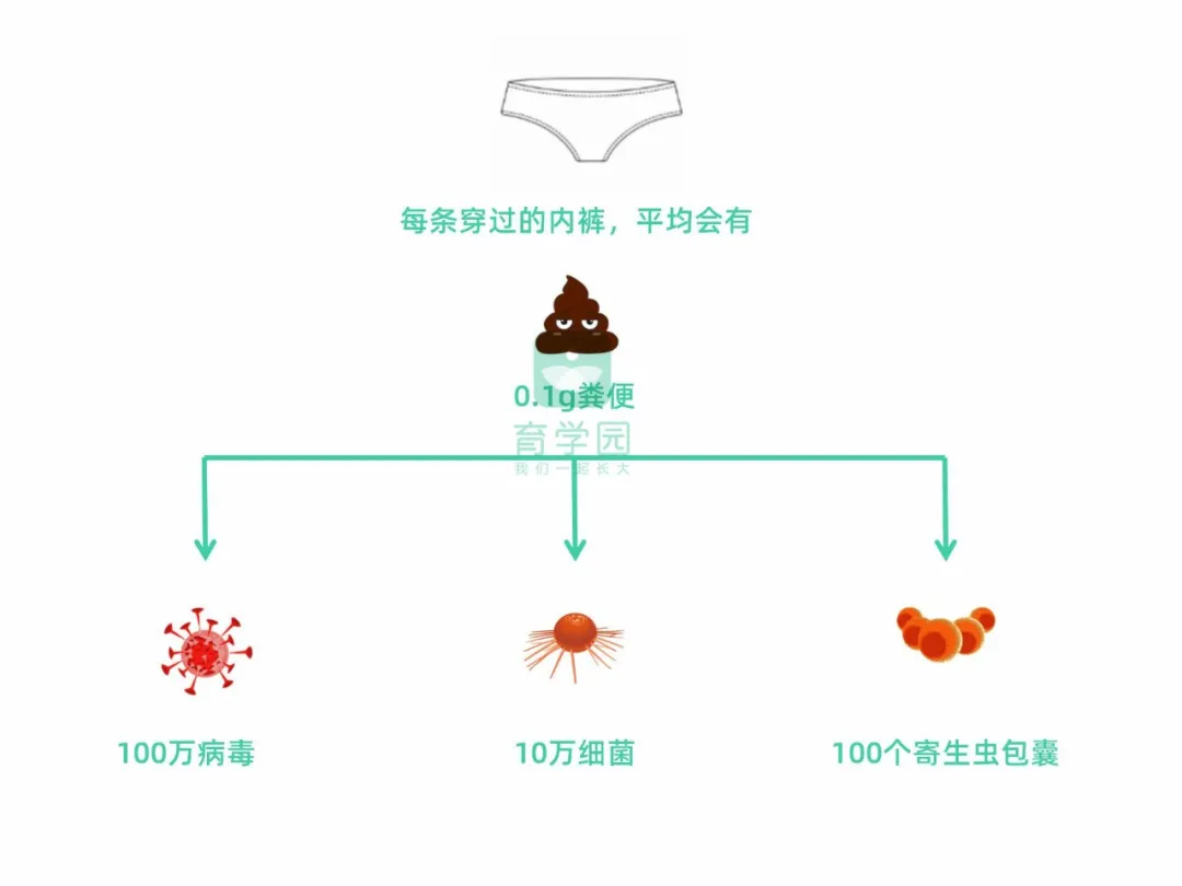 文胸多久换一次(内衣选不对会乳腺增生、乳房下垂、得乳腺癌？真相扎心了)