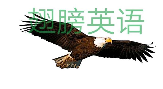 利用零碎的时间背这100句名言谚语比打游戏好