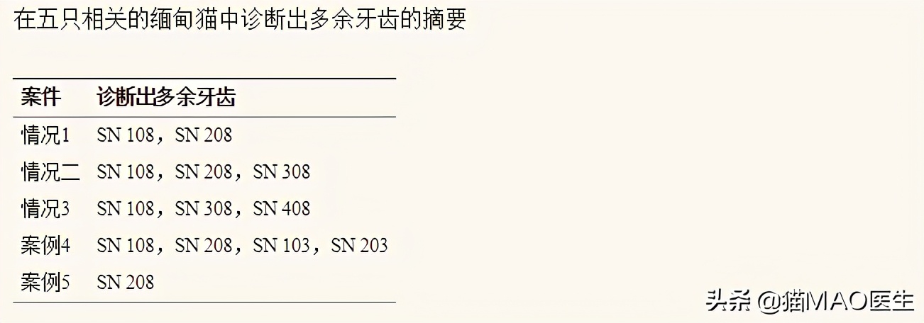 口腔中超和是什么时候(缅因猫多发一些牙齿疾病？这些临床病例带你更加了解猫咪牙科)