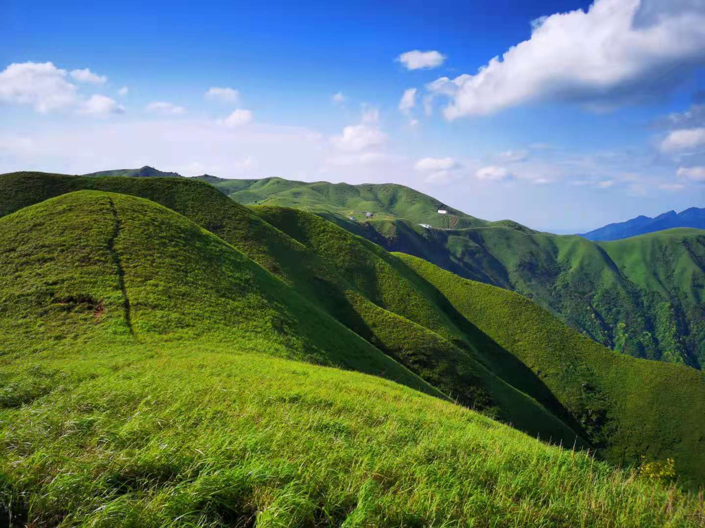 武功山海拔多少米(爱恨武功山，一生一定要去一次的徒步天堂)