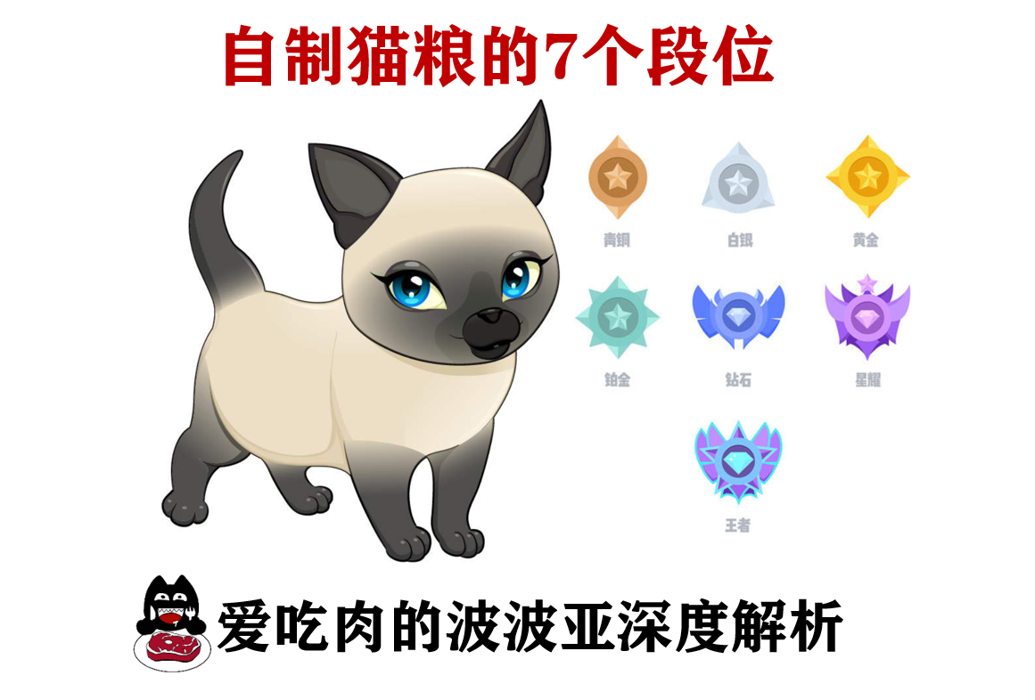 自制猫罐头做法（自制猫罐头做法大全）