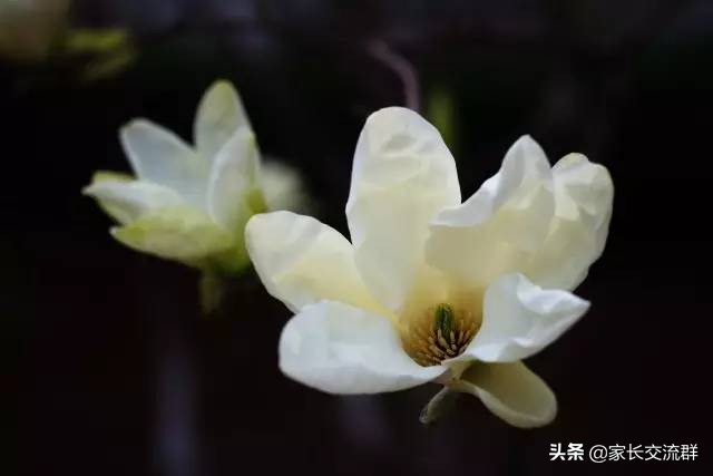 江南大学----一所可能“不适宜”学习的高校