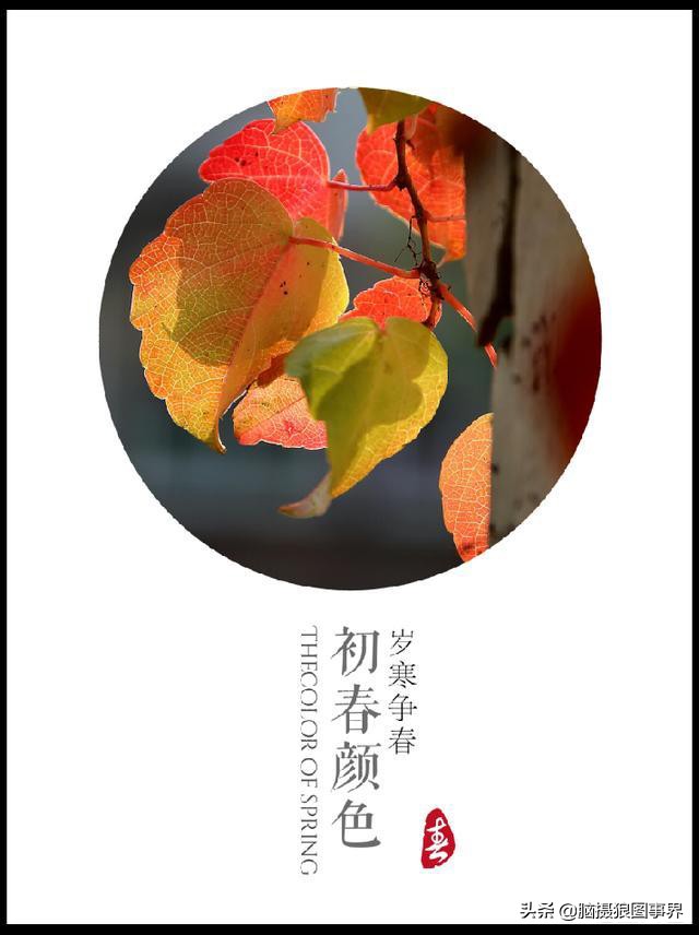这4款专业的手机摄影修图APP，你都用过吗？