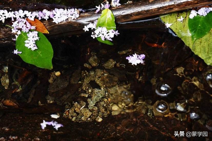 100个形容风景优美的成语，让我们的心情一起美起来！