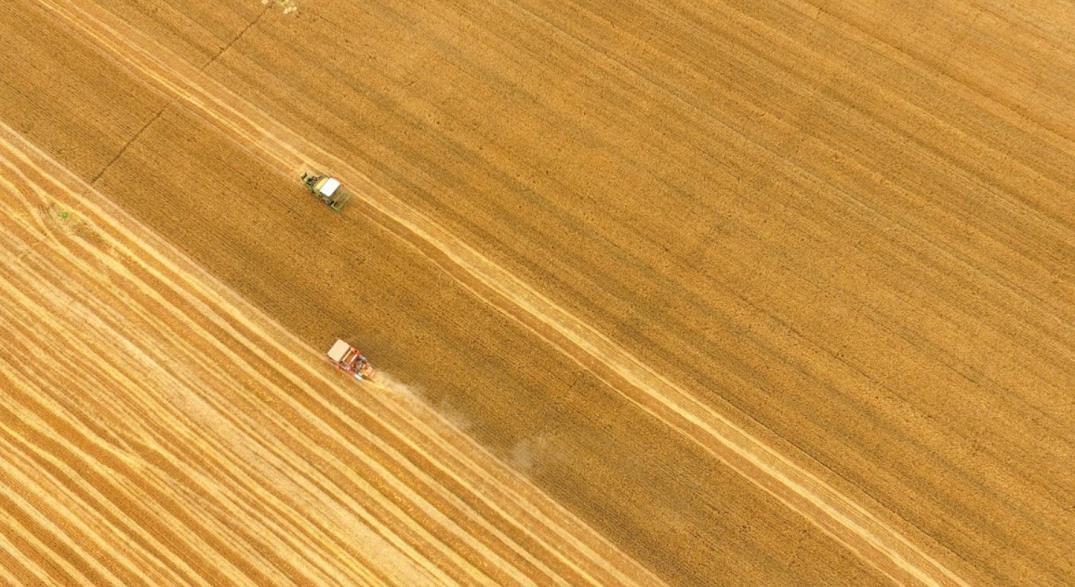 牛气！陕西这所高校一年走出3位院士，其中2人还是一个班