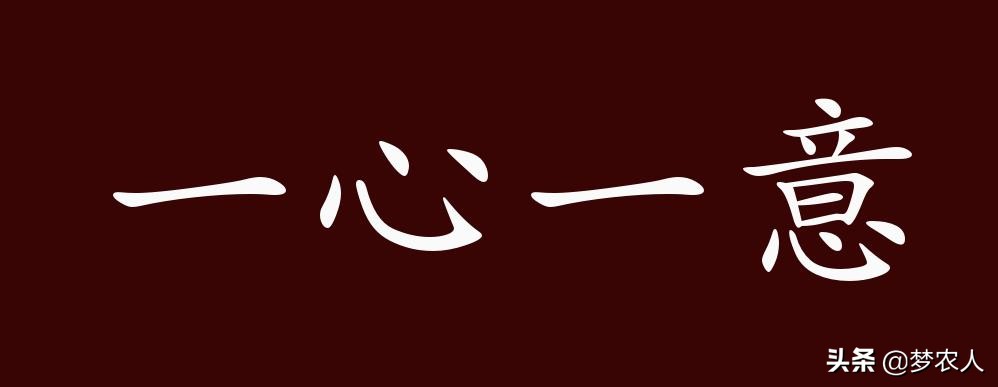 一心一意的反义词有哪些 ,一心一意的反义词是什么词