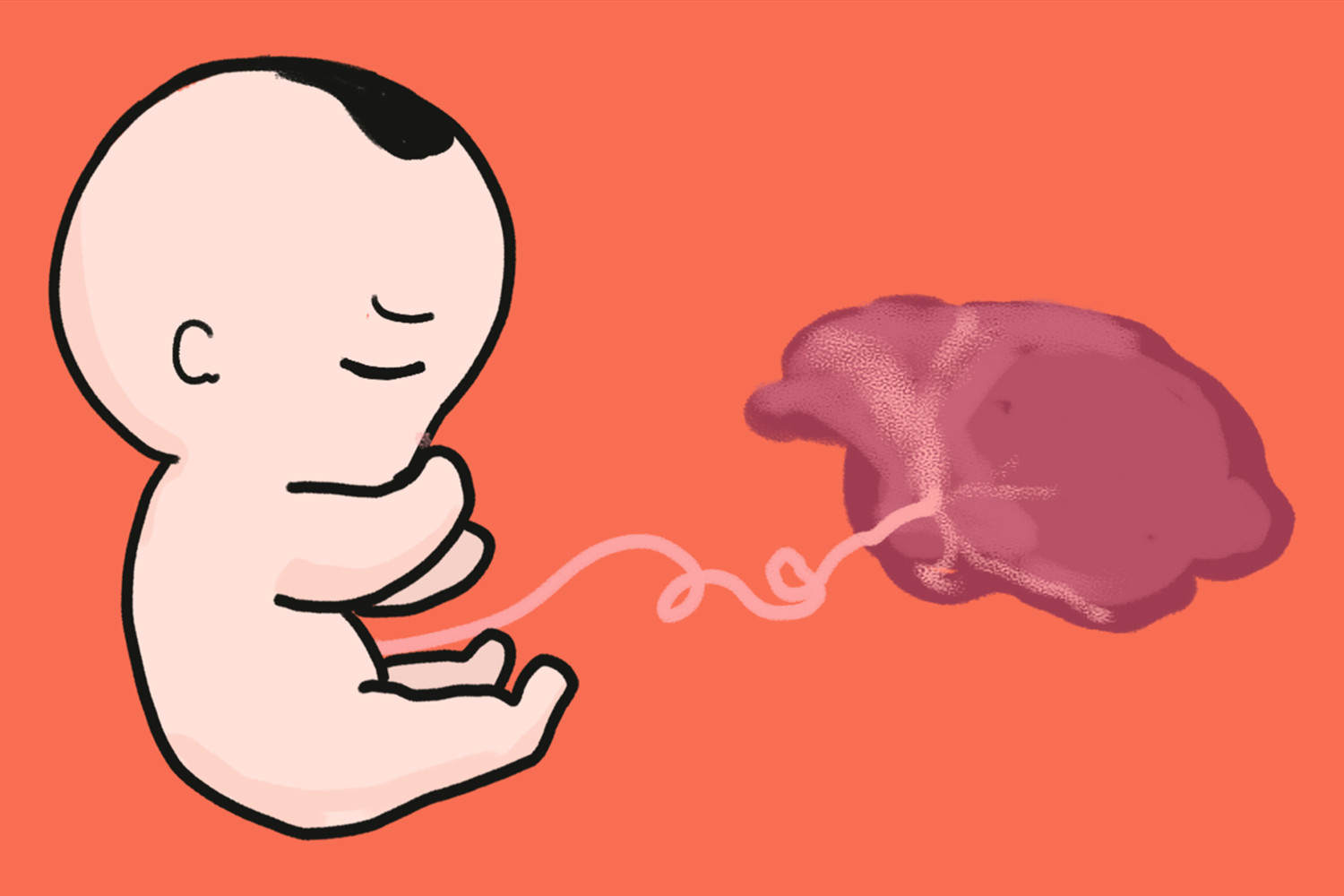 新生儿的"胎盘"应该怎么处理,埋起来还是吃了,看两种做法结局