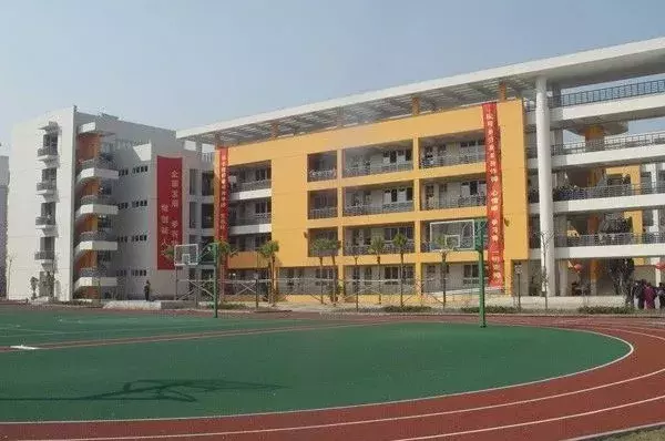 据说，这是全温州最好的十所小学！