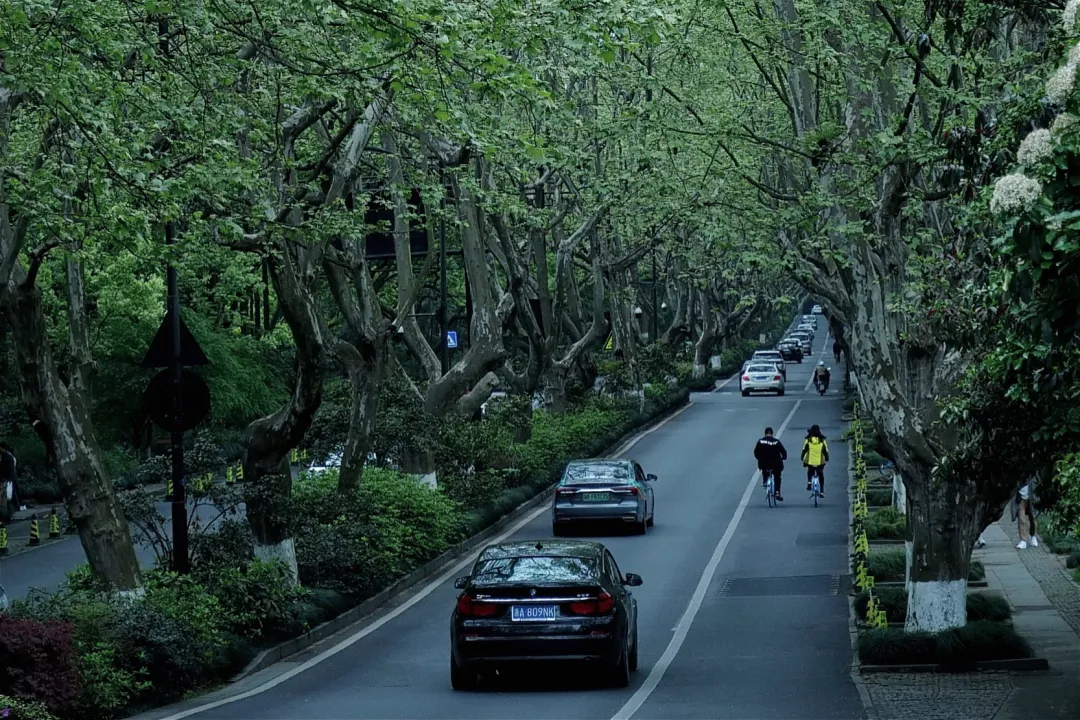 杭州终极拜佛攻略｜走这条路，一天解锁灵隐法喜7大宝藏寺庙