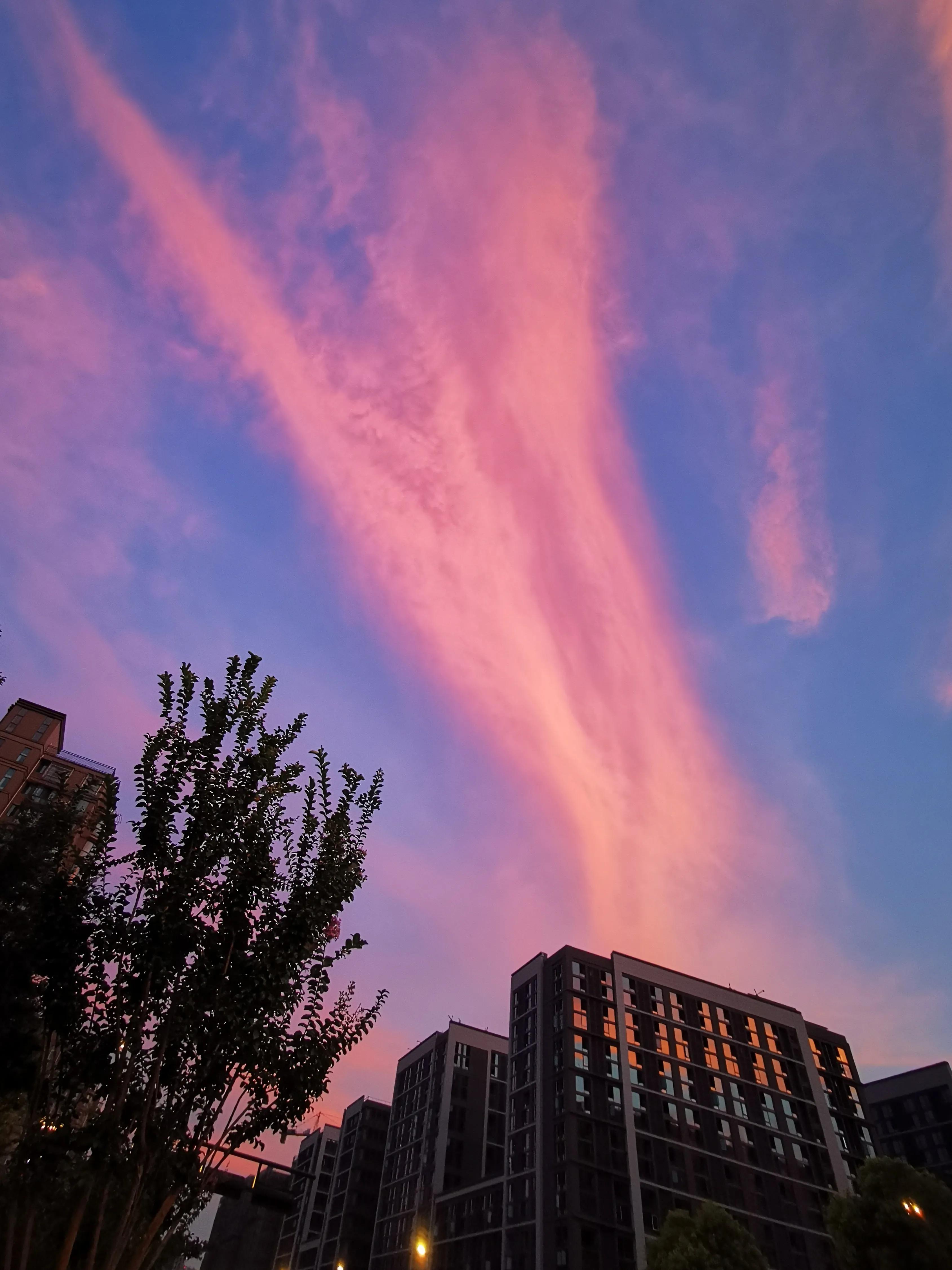 讚美夕陽紅,稱揚夕陽情