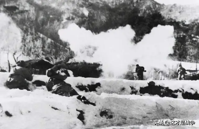 这一仗，伤亡3591人，歼敌仅82人，到底是怎么打的？