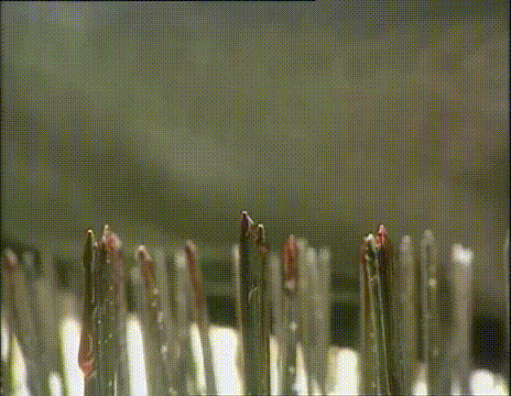 童年武侠偶像剧《侠女闯天关》，武妈但凡年轻点，就没男主的事了