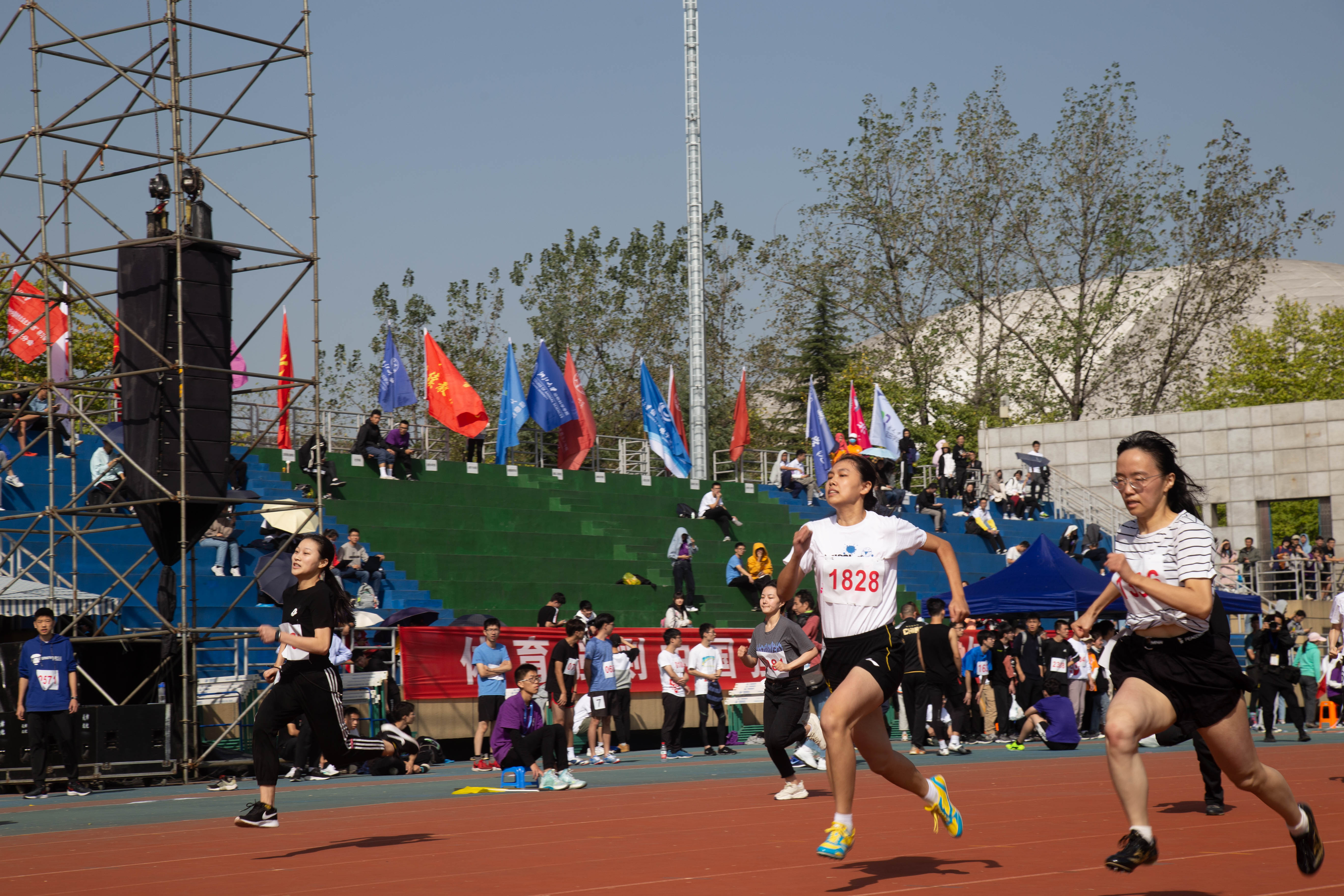 大学运动会有哪些项目(在浙大,动起来!为青春活力喝彩)