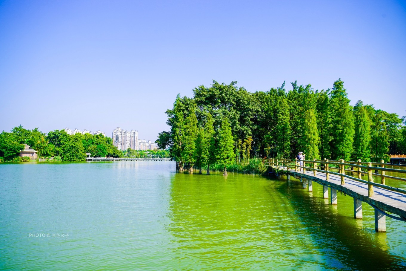 梦到水边有卧佛(这是我国首个湿地公园,能看到卧佛含丹奇景,每天都有