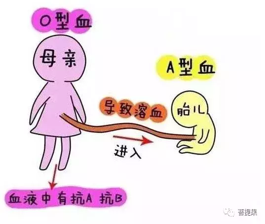 别再狐疑了,产检血型非常必要哦!