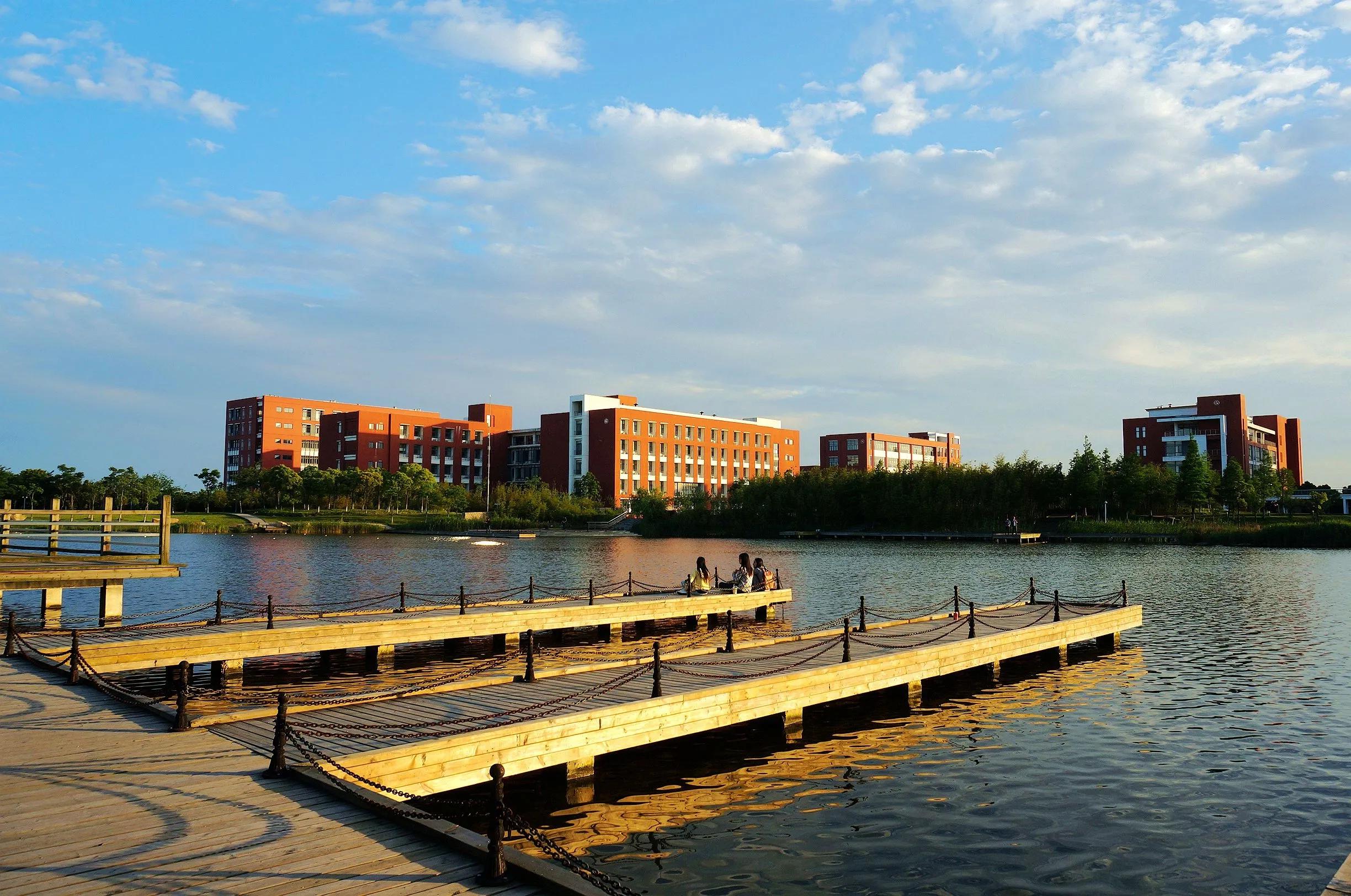 这边风景独好,这些魔都名校新校区,你去过吗?(下)