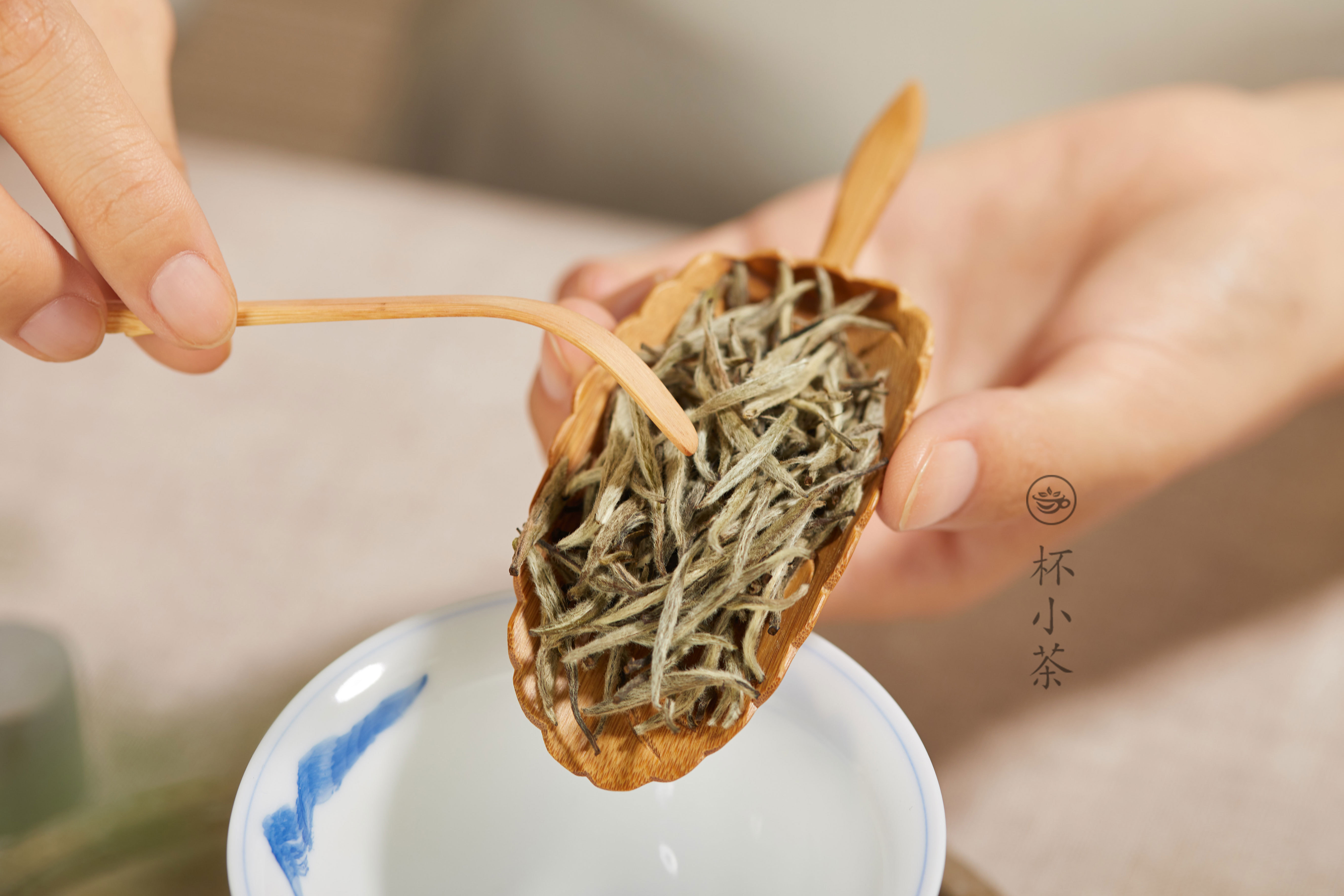 没有电子秤，可以这么“量”茶叶