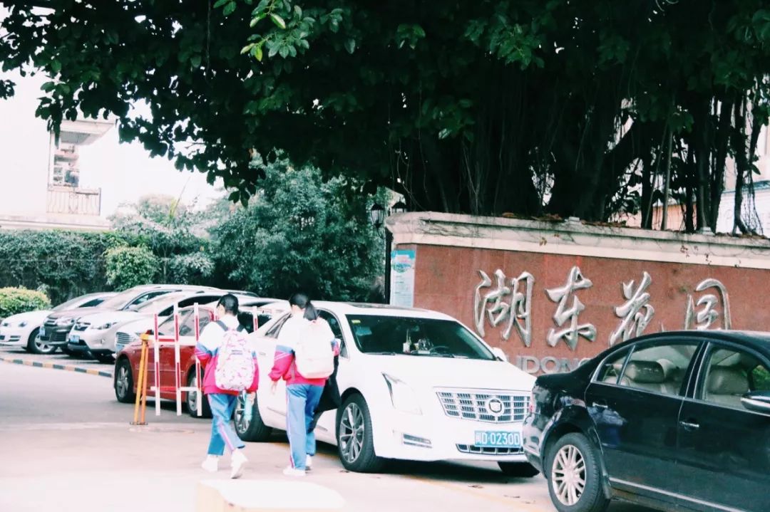 老破小一平10万+！我们走遍厦门18所名校，为你曝光最贵学区房！