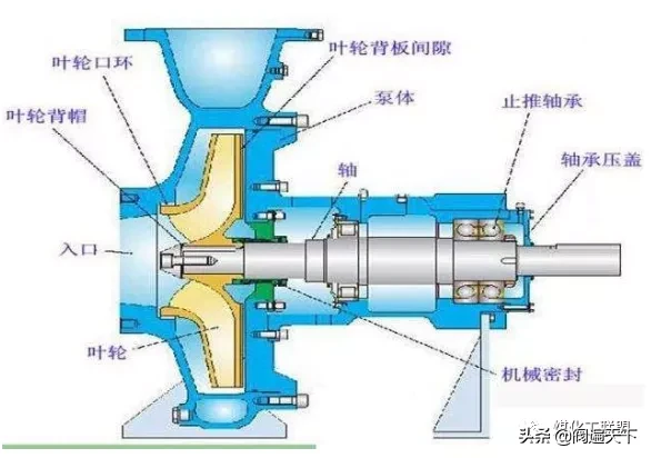 离心泵检修知识点