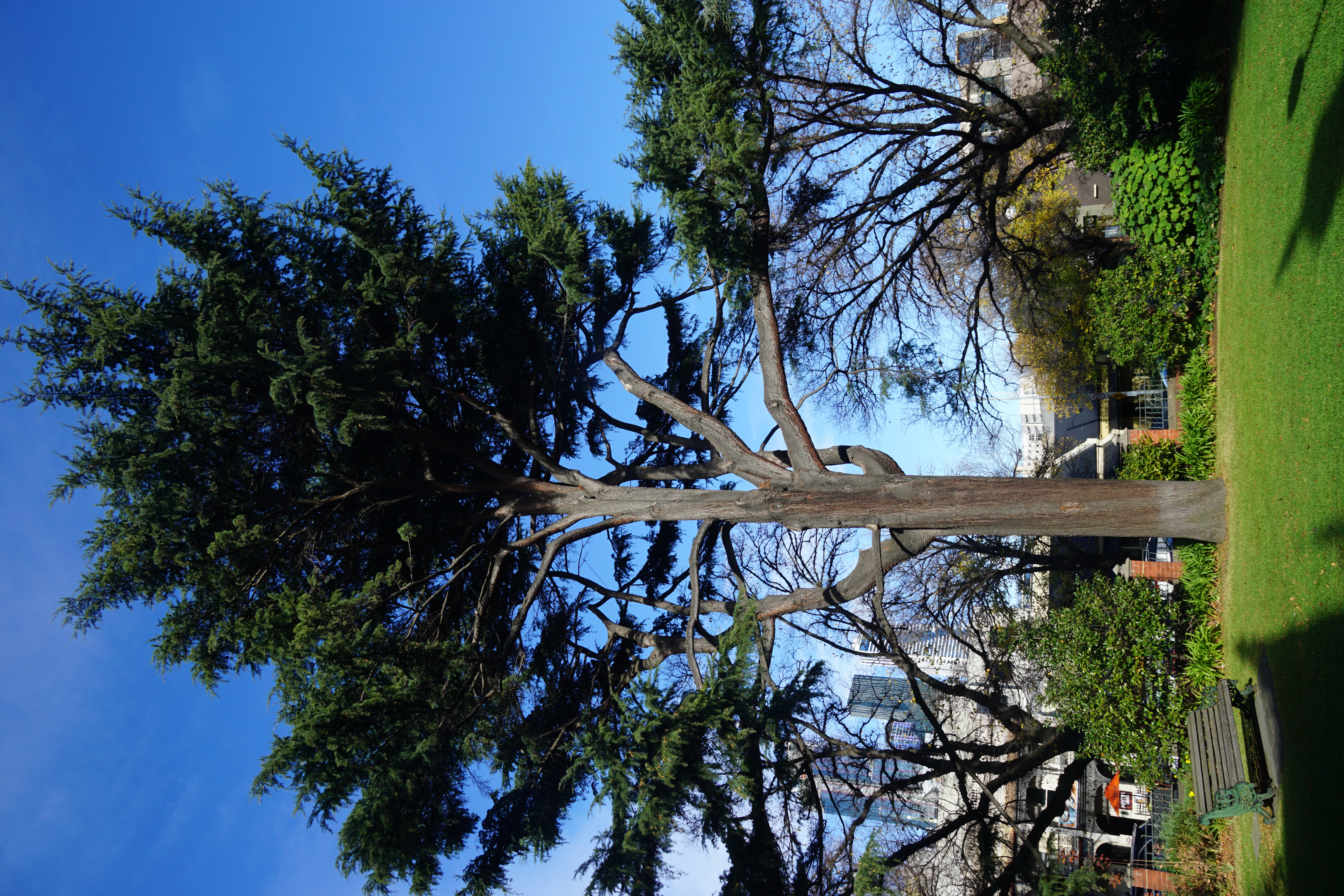 我们将在后人的 敬重中成长