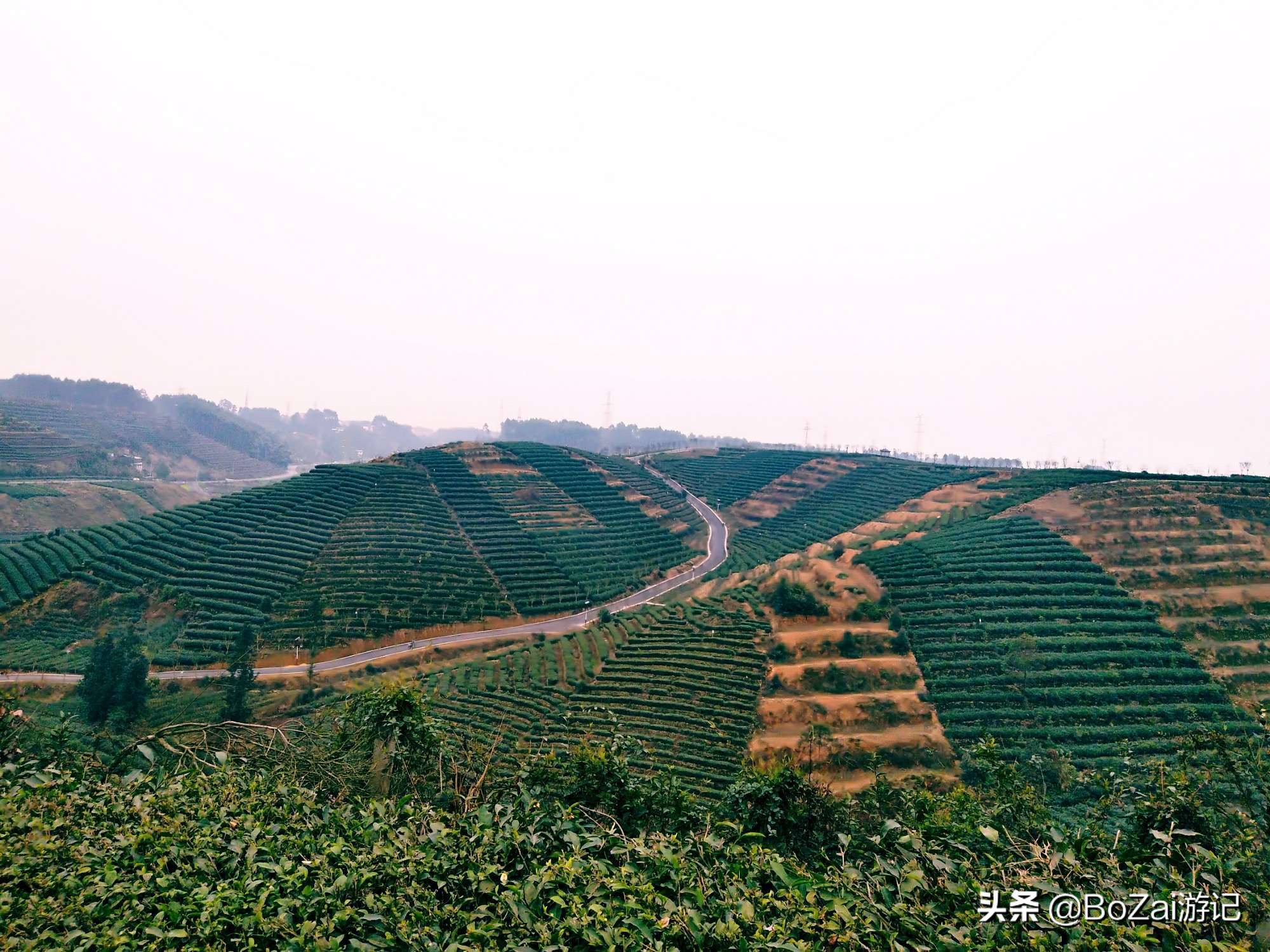 到四川乐山市旅游不能错过的10个景点，你去过几个？最爱哪个景点