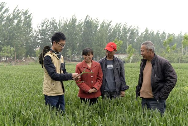 “回不去农村挤不进城市”，农村大学生的辛酸，真是现实且扎心