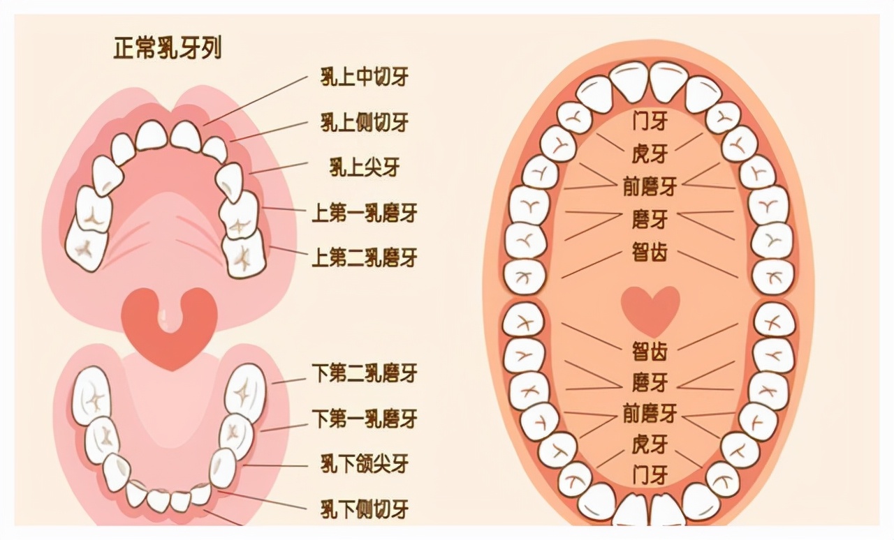 马自然繁殖（马儿的交配和繁殖奇怪的知识又增加）