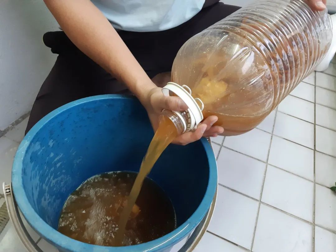 烂菜烂水果制作有机肥的方法（手把手教你制作有机肥）