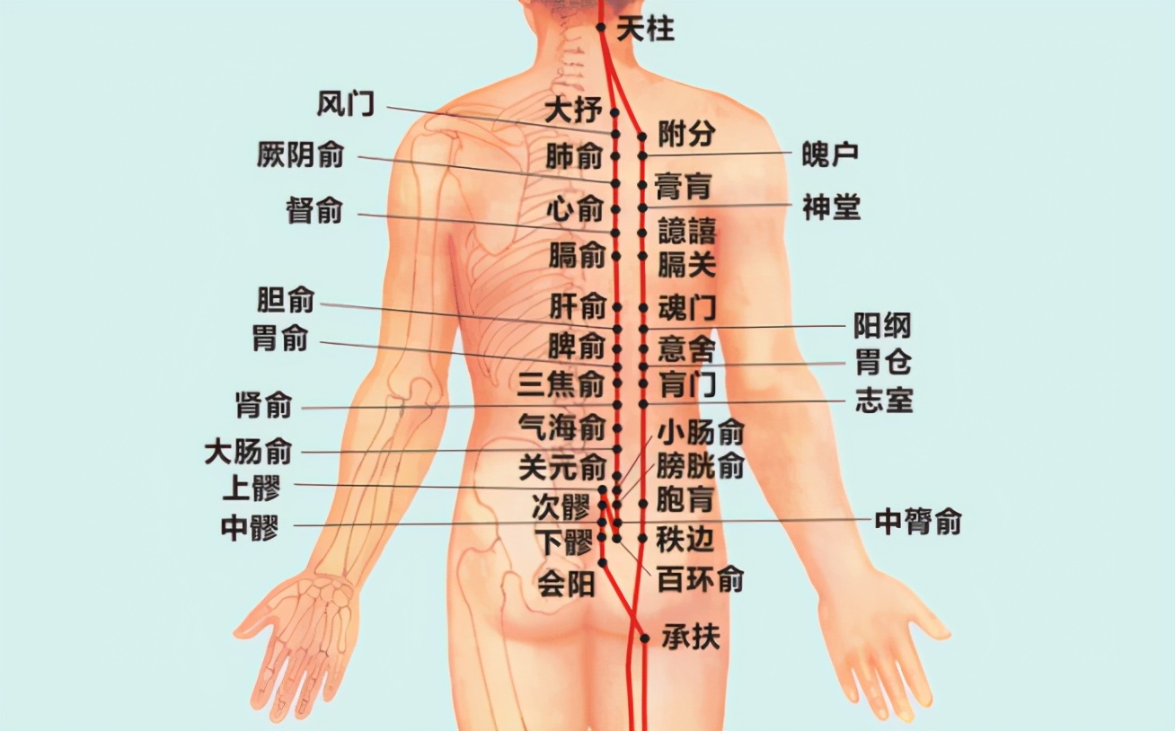 夏日一床艾，寒湿甩走人得劲，舒爽一整夜