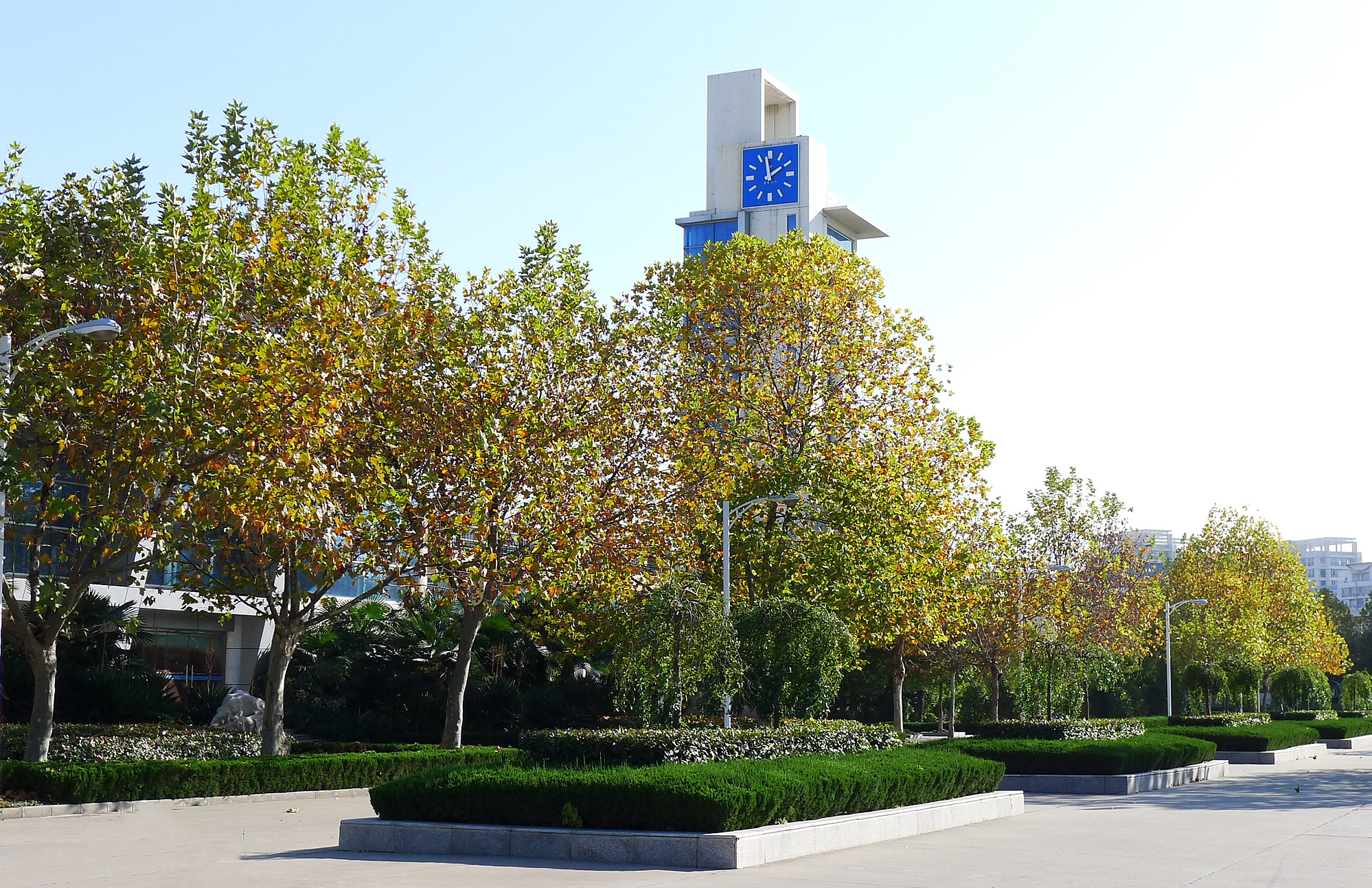 盐城一中2017高考情况（江苏盐城高考）