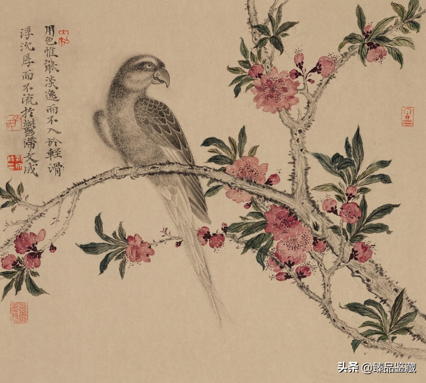 走到黑走到明 | 孔文成花鸟画的脉路