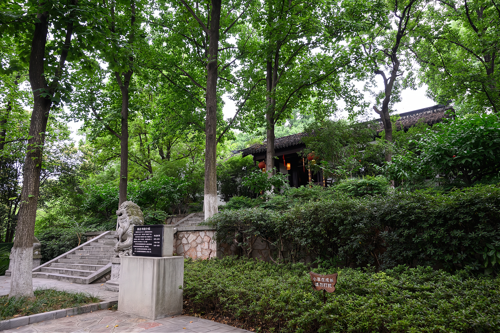 幾乎把裡面的小景點都打卡了,包括駐馬坡,掃葉樓,清涼古寺,崇正書院