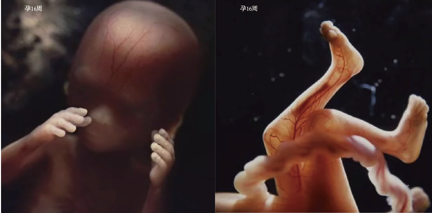一个婴儿诞生的全过程，10张高清图带你了解，感叹新生命的力量