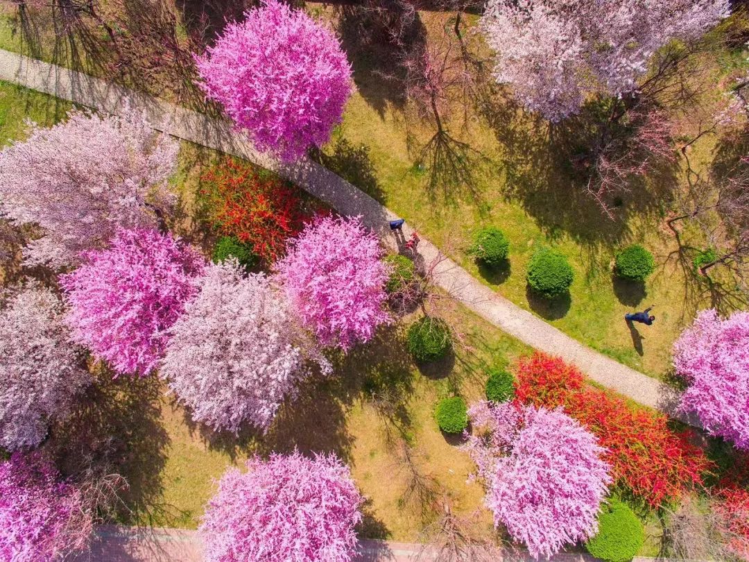 招生啦！西安交通大学2019年博士研究生章程公布