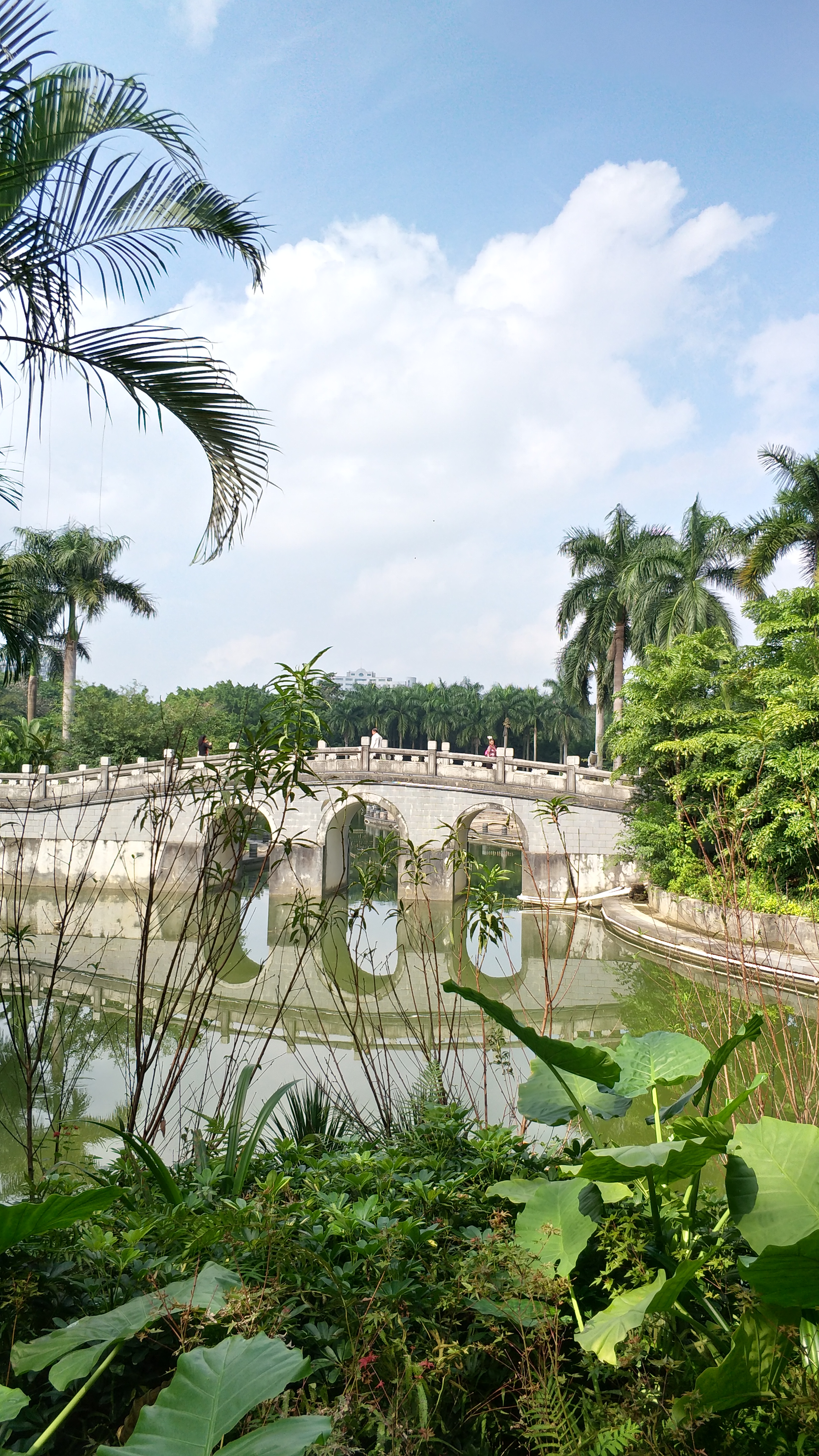 去廣西南寧旅遊最容易被忽視的一個景點,人少景美又清靜