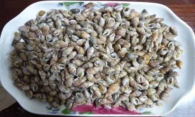 营口特产营口特产海鲜