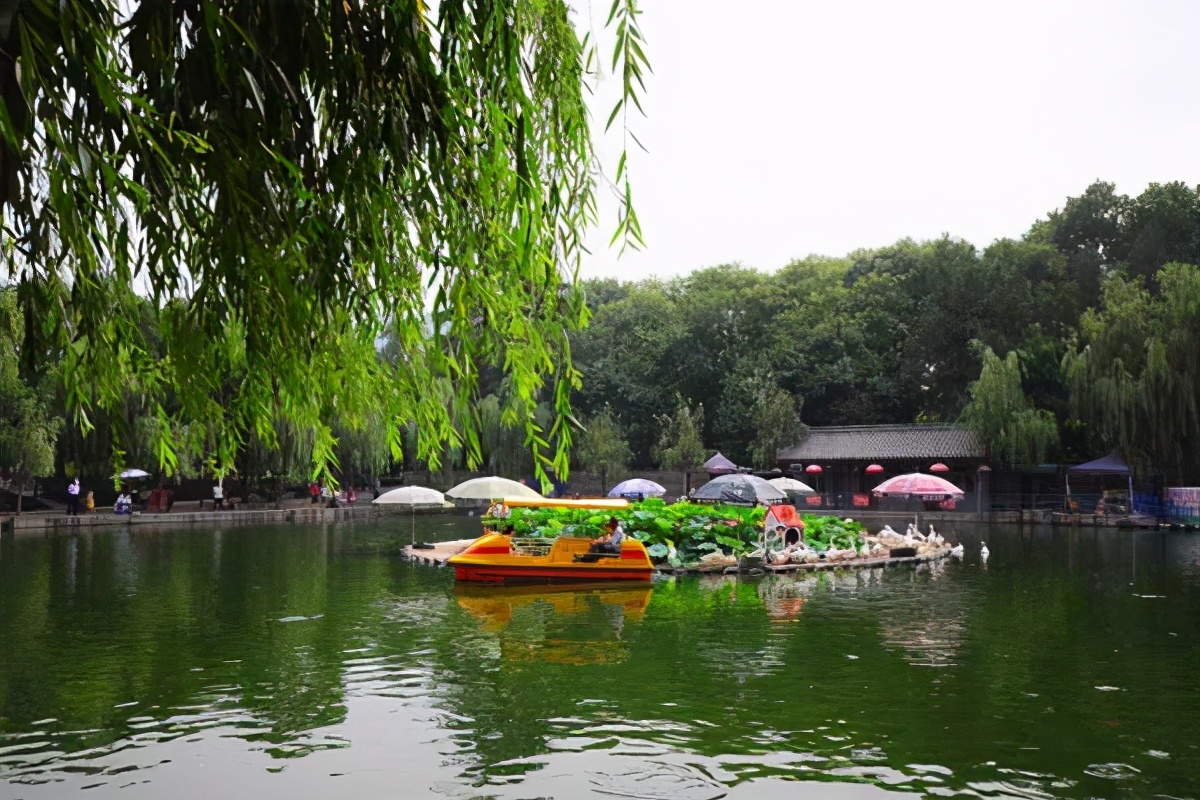 西安二环内价格洼地，大兴新区板块高规划再出发，要不要上车？