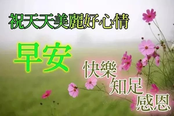 风起时，笑看落花；风停时，淡看天际，早安