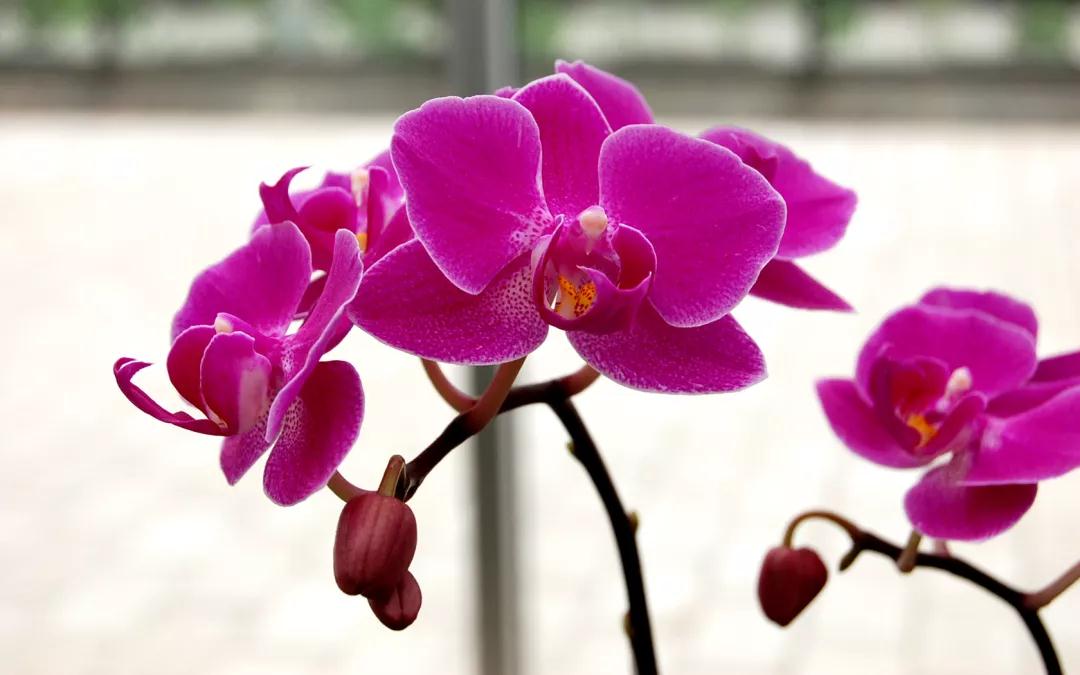 昆明最值得打卡的100个地方！你去过几个？