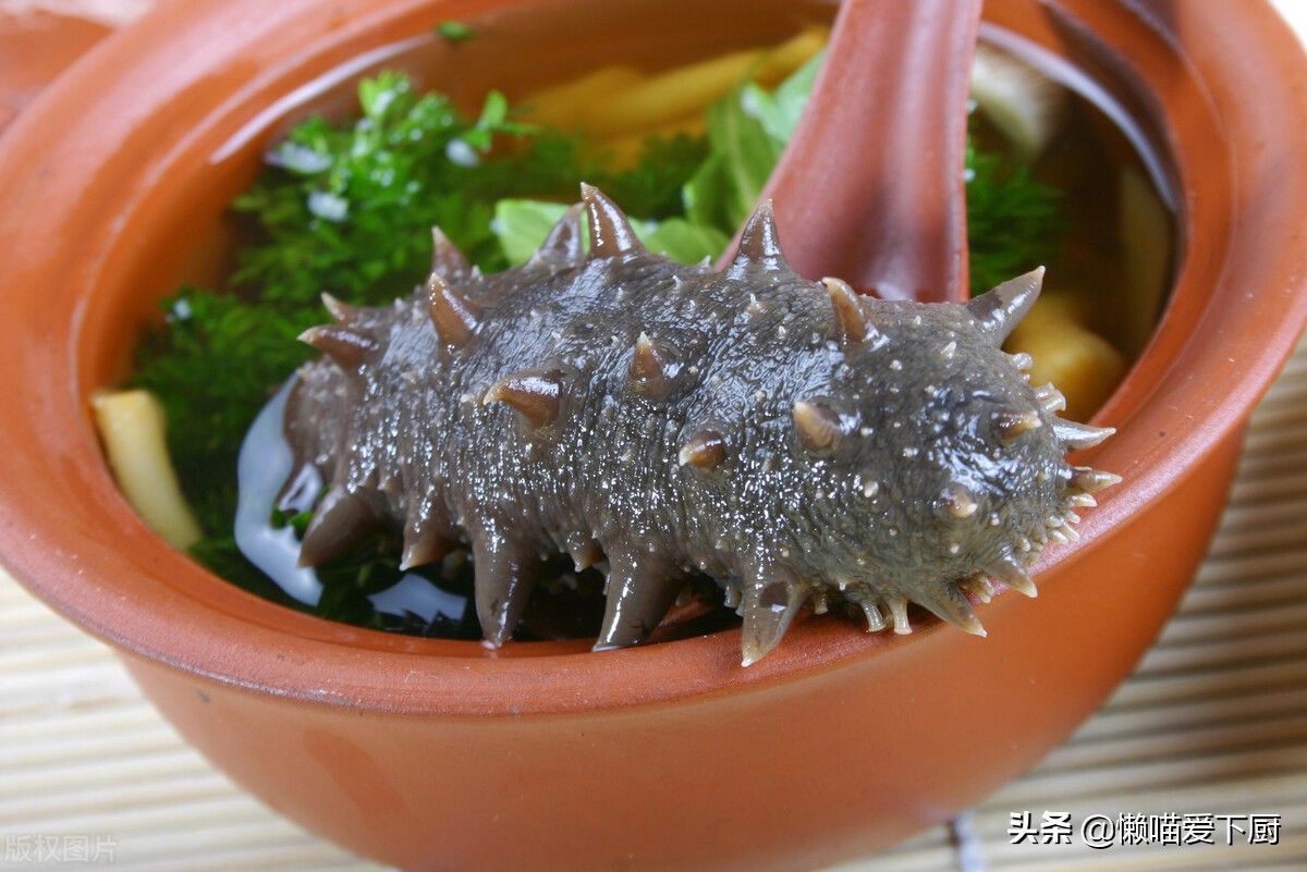 假海參(海參怎麼分辨真假)