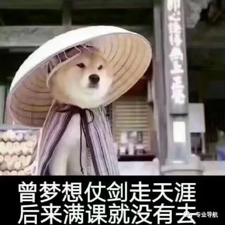 2021年高校毕业生薪酬排行榜出炉，你的“文凭”均价多少？