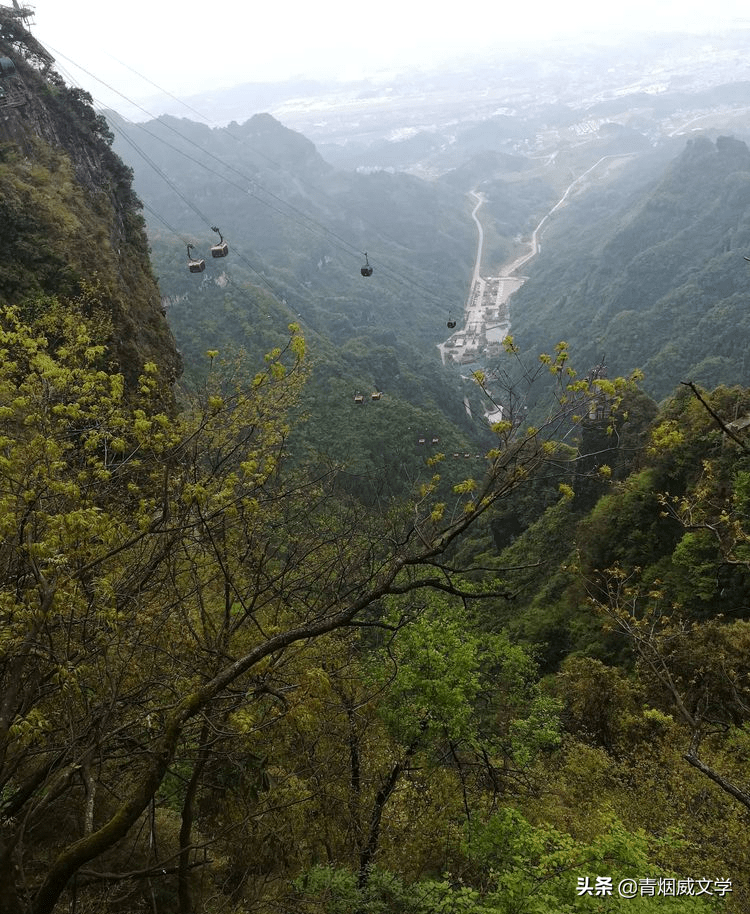 雨中神怡张家界，飞天索道奔险峰