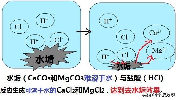 cacl2是什么化学名称（cacl2是什么化学名称 英语）-第9张图片-昕阳网