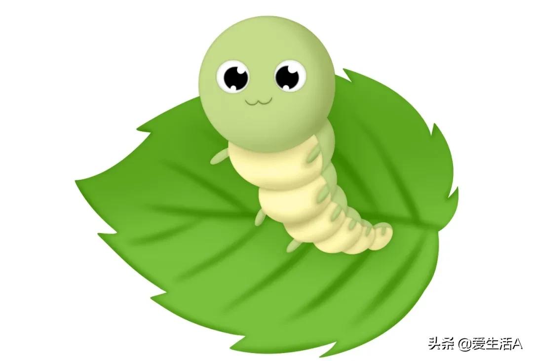 观察蚕宝宝日记作文400字,观察蚕宝宝日记怎么写