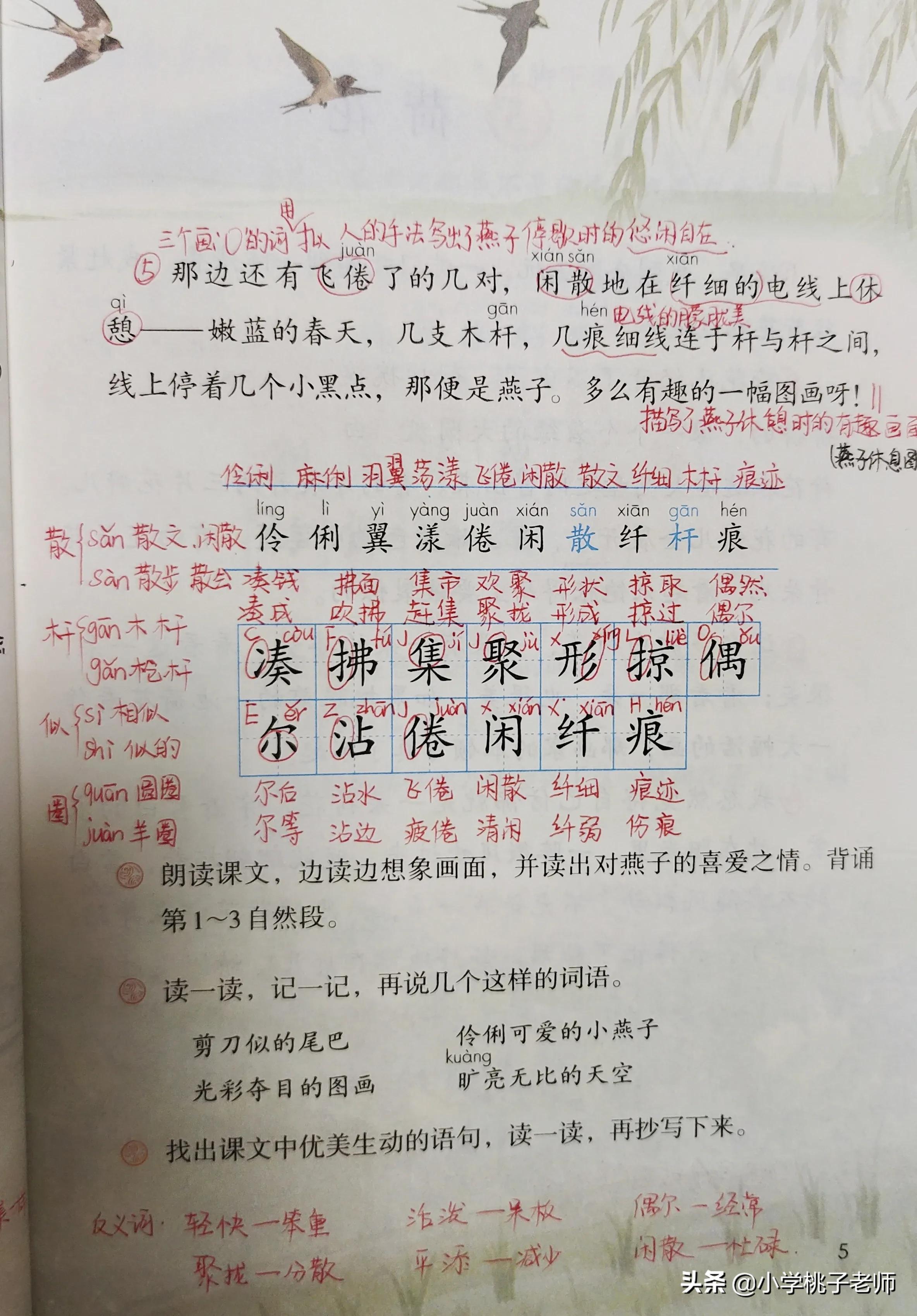 三年级语文《燕子》,一边读一边体会优美的画面