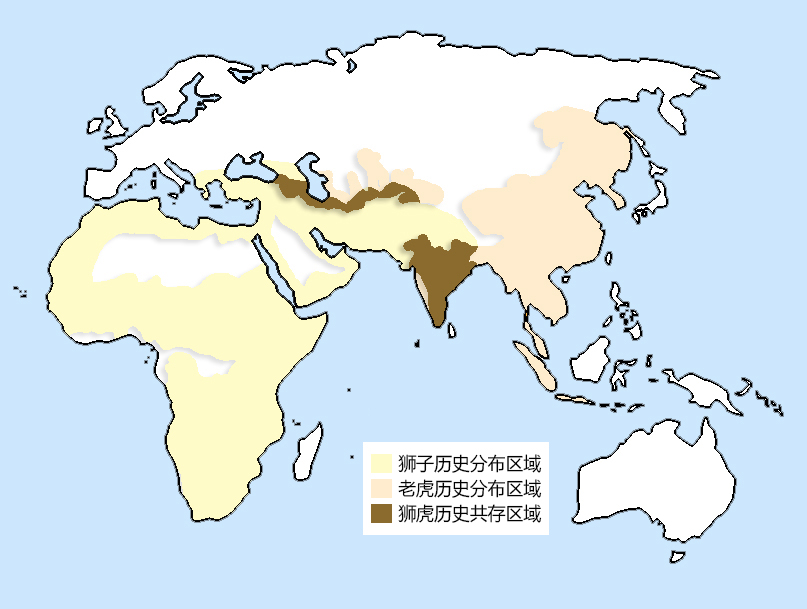 四十强赛D组印度VS孟加拉(更新世末，狮虎先后抵达印度次大陆，为何没引发“狮虎大战”？)